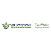 yellowstone logo box